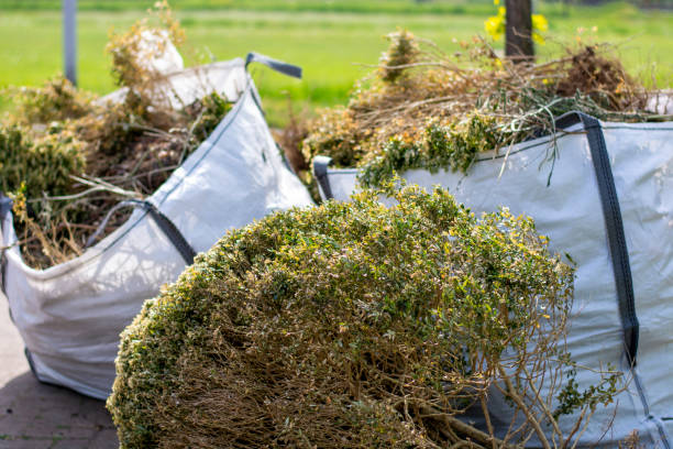 Best Hoarding Cleanup  in Augusta, AR